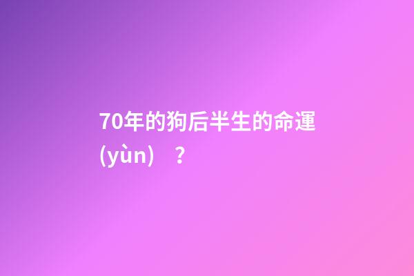 70年的狗后半生的命運(yùn)？(農(nóng)村老人說(shuō)：“雞不過(guò)六載，狗不過(guò)八年”，是啥意思？)